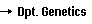 Department of Genetics, University of Seville